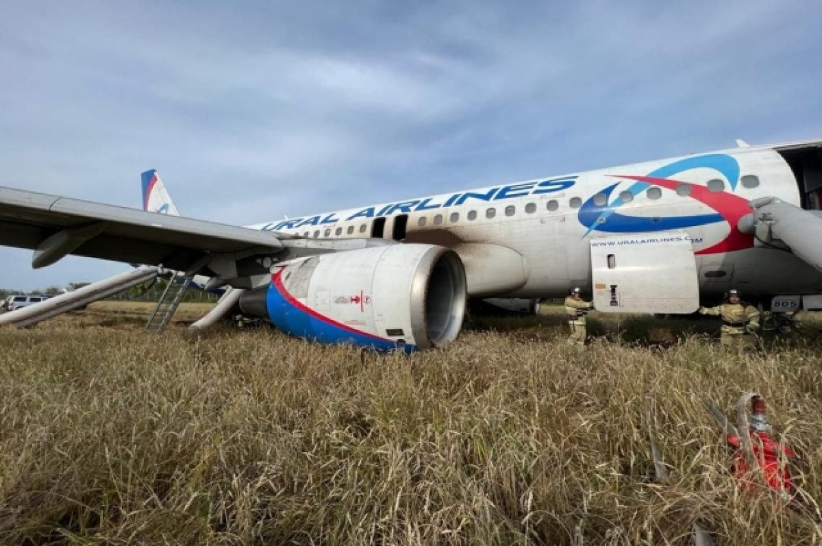 Севший в поле самолет Сочи – Омск спишут в утиль и разберут на запчасти |  АиФ-Юг | Дзен