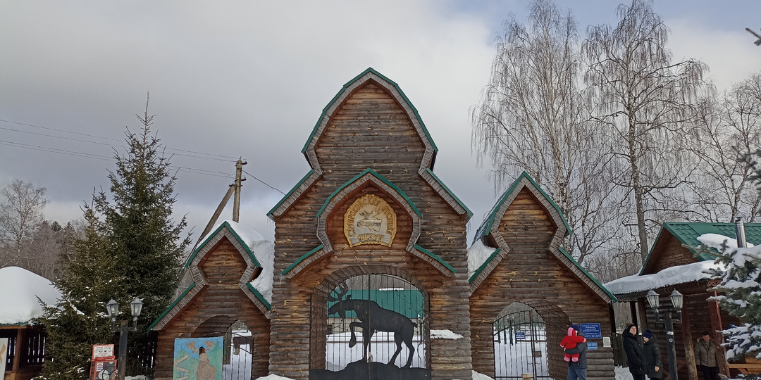 Куда поехать на новогодние праздники? Рекомендую съездить и покормить лосей на Сумароковской лосиной ферме