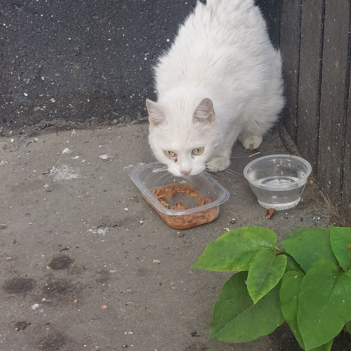Проверьте своё жилище