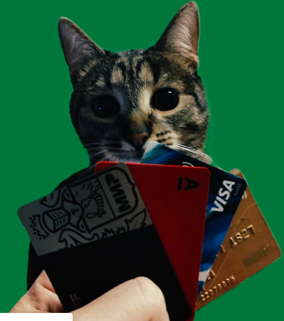 Кота я тоже обещал показать)