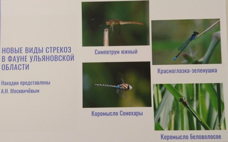    Фото:  АиФ/ Светлана ЧЕРНЫШОВА