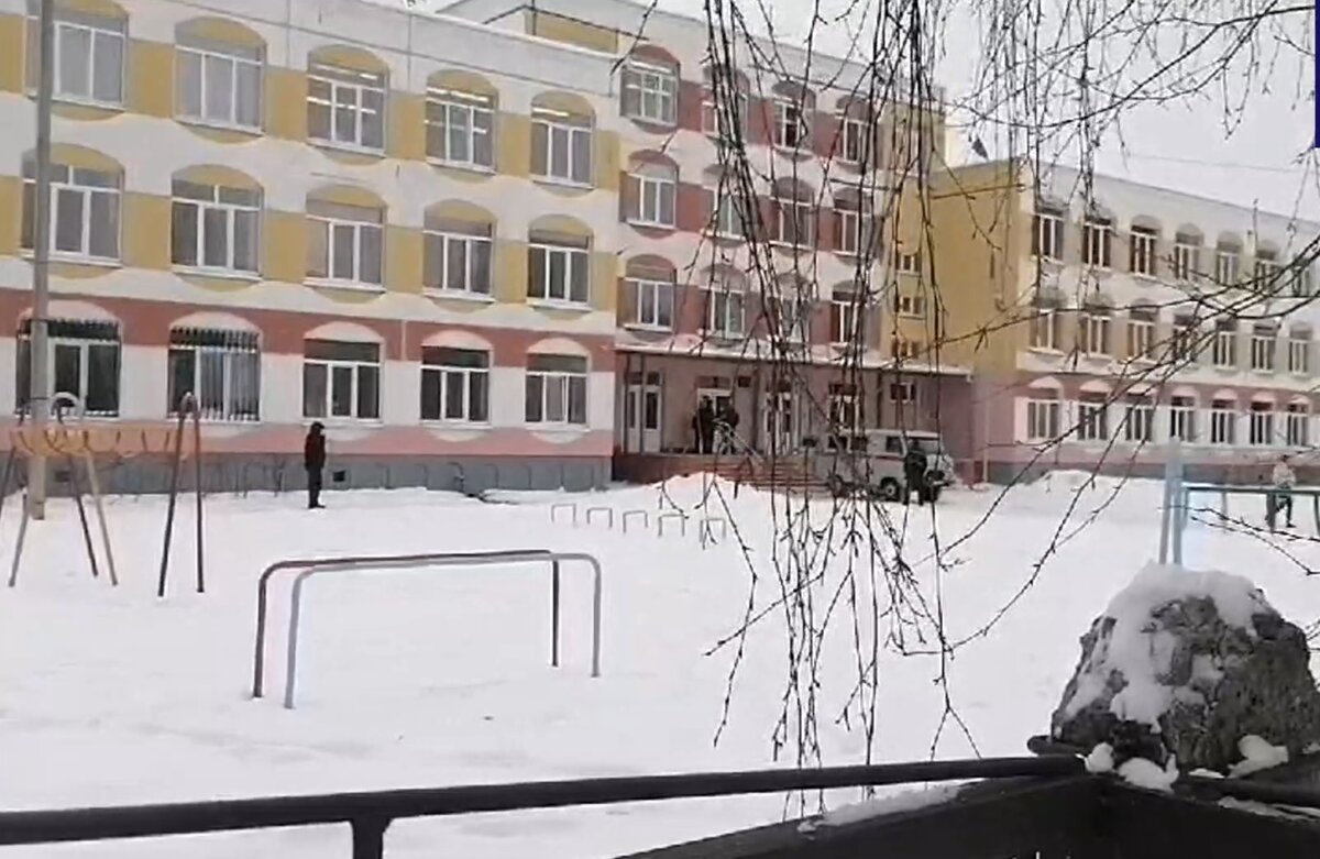 Брянская гимназия фото