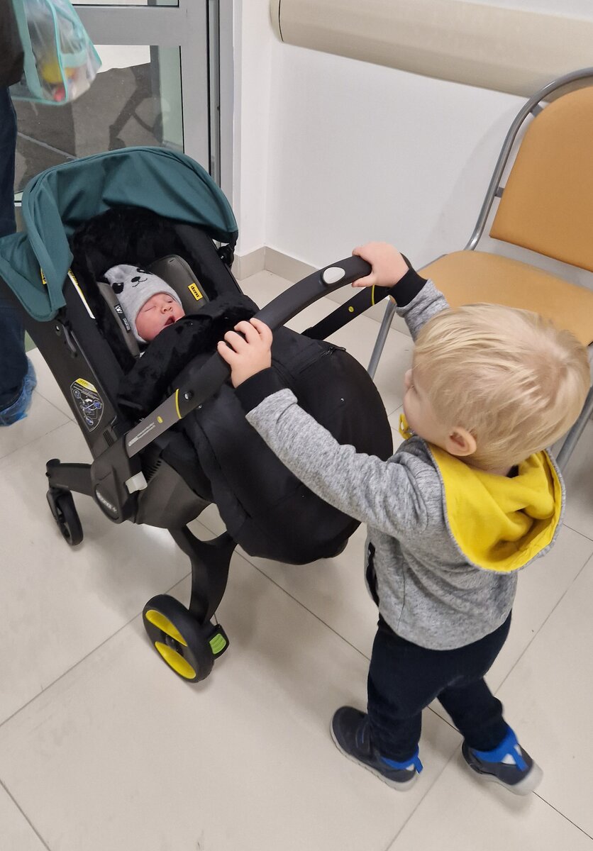 Гришка везёт Колю домой