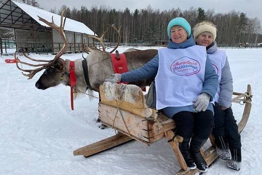    В Подмосковье установлен рекорд по числу участников «Активного долголетия»