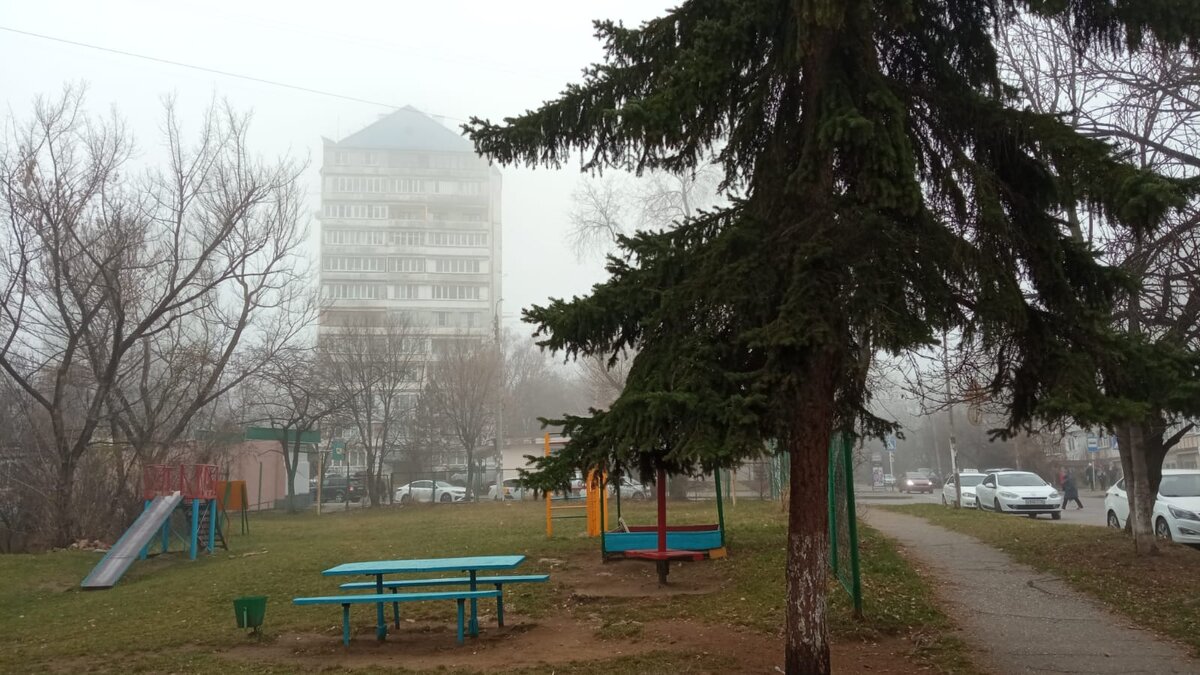 Туман в Кисловодске. Фото: Лидия Захарова/Polienko: путешествуем вдвоём