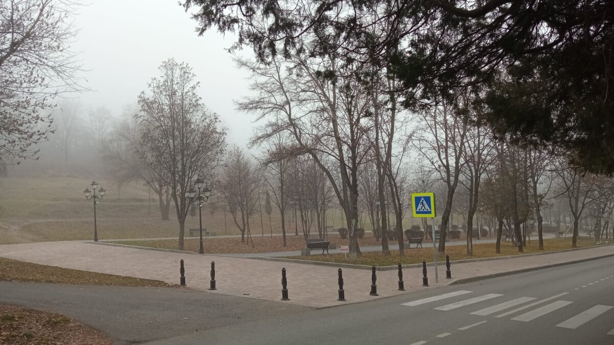 Парк на Цандера в тумане. Фото: Лидия Захарова/Polienko: путешествуем вдвоём