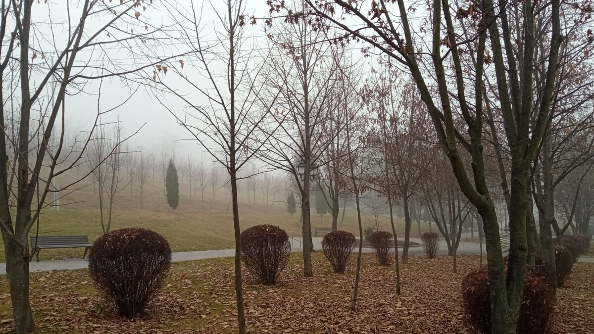 Волшебный безлюдный лес. Фото: Лидия Захарова/Polienko: путешествуем вдвоём