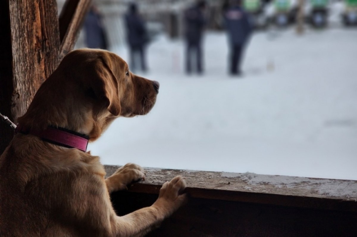    Фотография сотрудницы МВД РК стала лучшей на всероссийском конкурсе