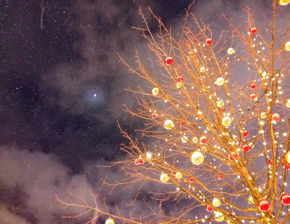 Москва предновогодняя