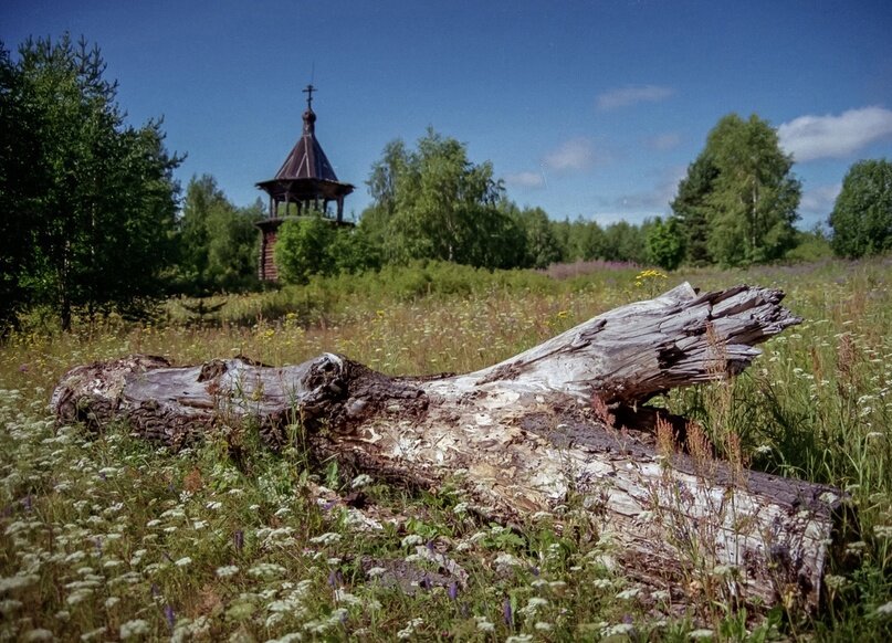 Кадр из фильма