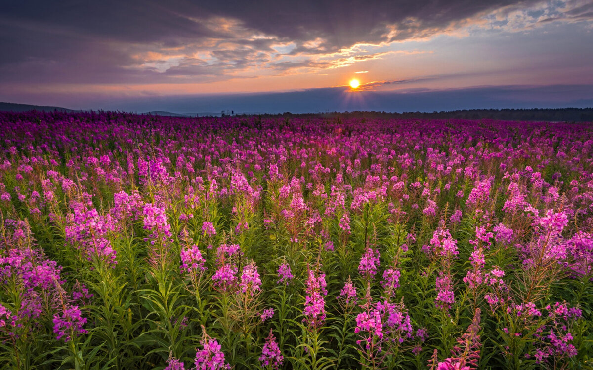 фото обложка