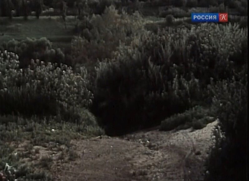 Кадр из фильма