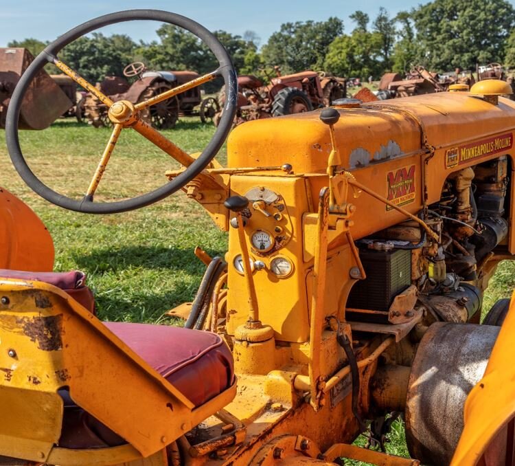 Источник фото: commons.wikimedia.org