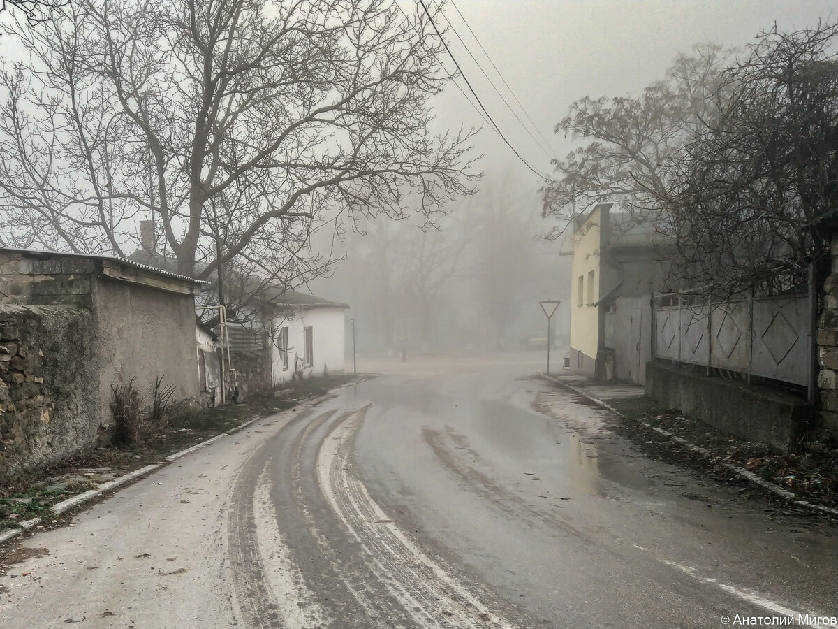 В Старом Крыму туман, а в Феодосии цветы, изумрудное море и лебеди |  Дневник отчаянных пенсионеров | Дзен