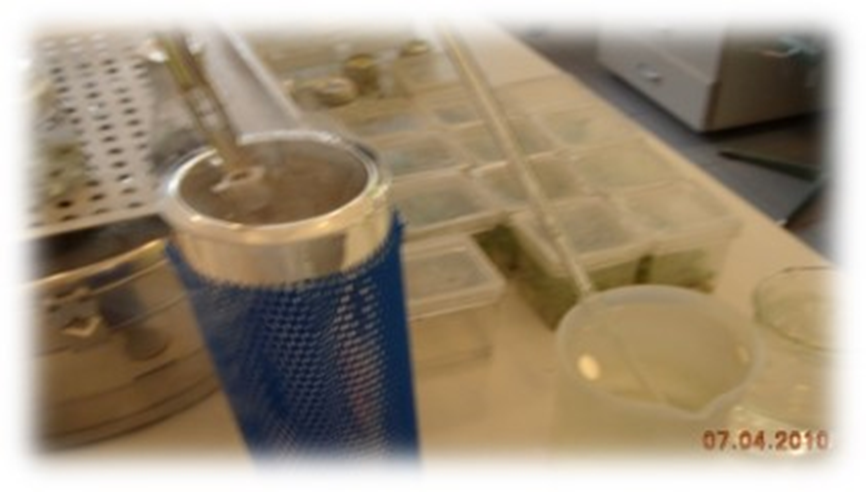 Виала в держателе, вынимающийся из жидкого азота.