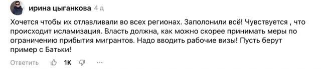 МИГРАНТЫ ДОЛЖНЫ НЕ ТОЛЬКО ПОСОБИЯ ОТ ГОСУДАРСТВА ПОЛУЧАТЬ, НО И ОБЯЗАННОСТИ ПО КОНСТИТУЦИИ ВЫПОЛНЯТЬ. ФОТО: СТОП-КАДР ИЗ ДЗЕН.НОВОСТИ
