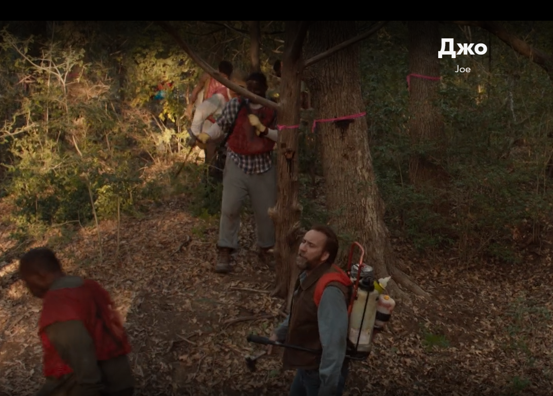 Джо и бригада лесников