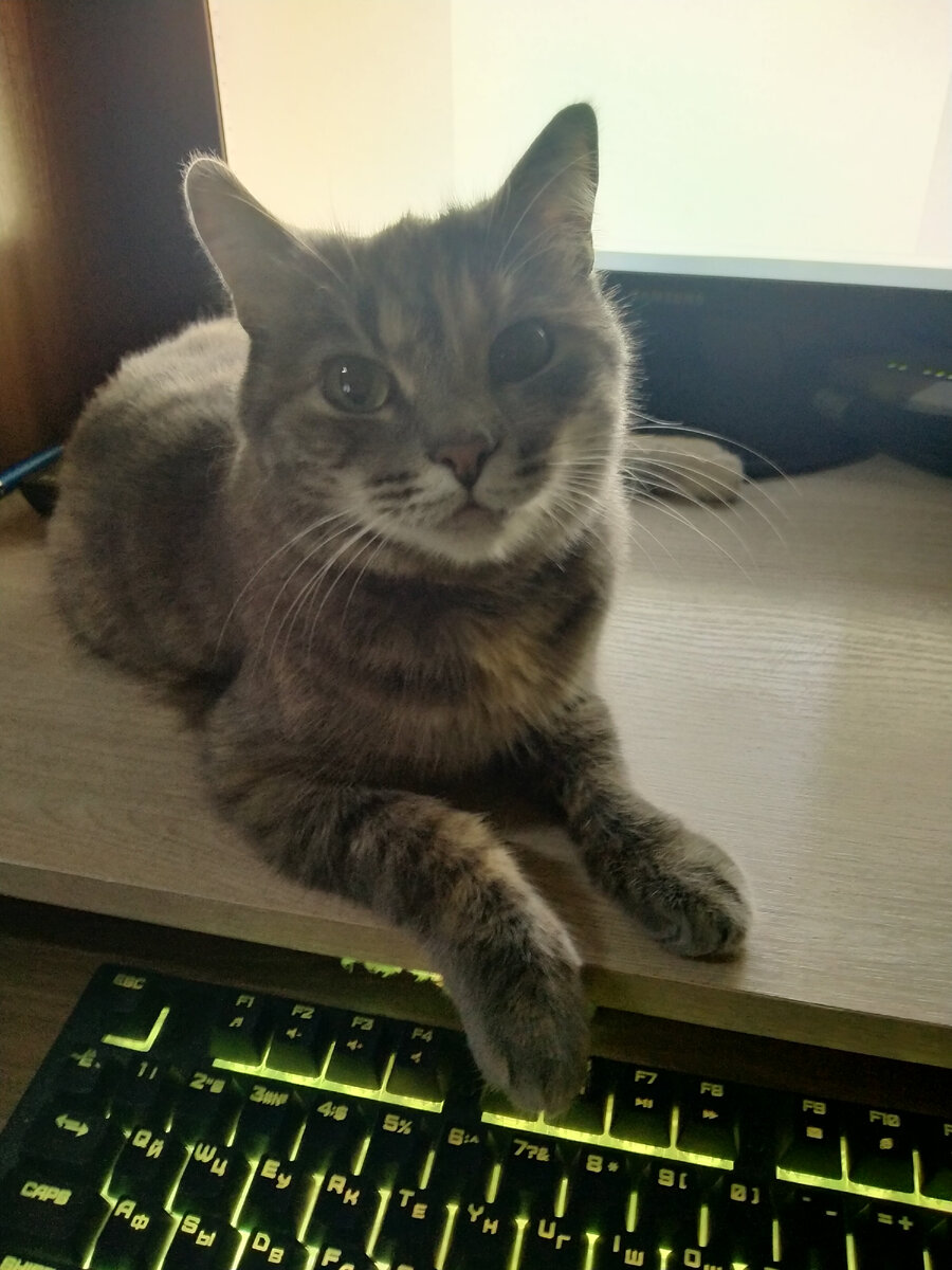 Это я - Люся