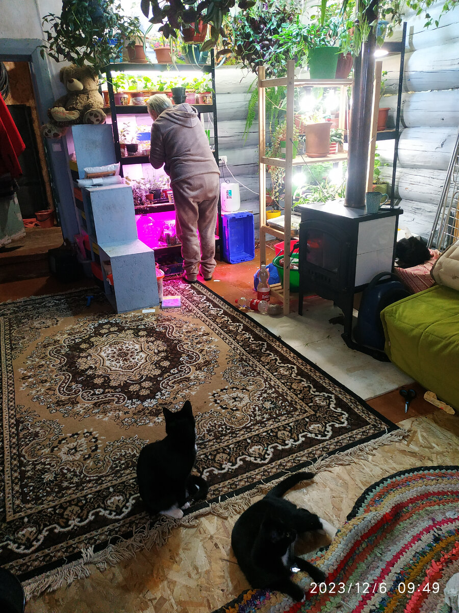 Алёна колдует с цветами