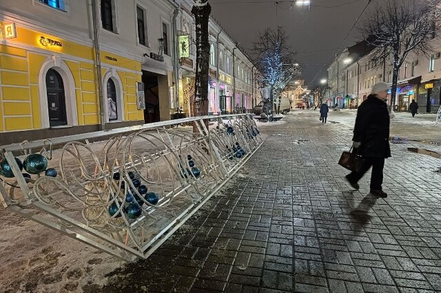    Фото:  АиФ/ Вера Мартынова