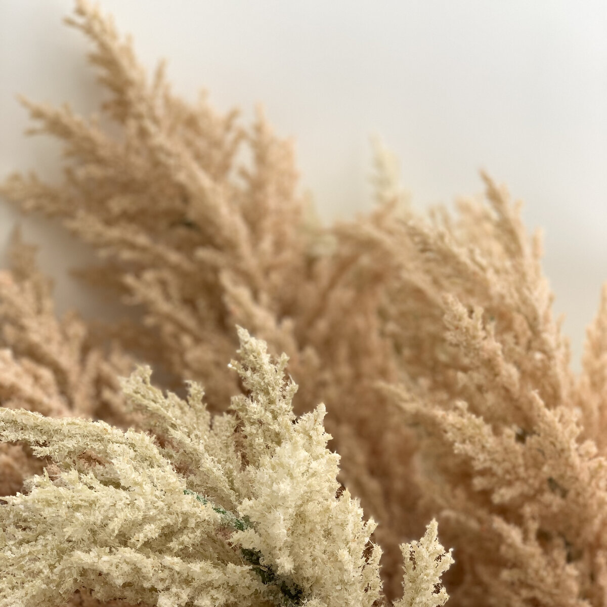 Астильба в магазине-мастерской EL Декор