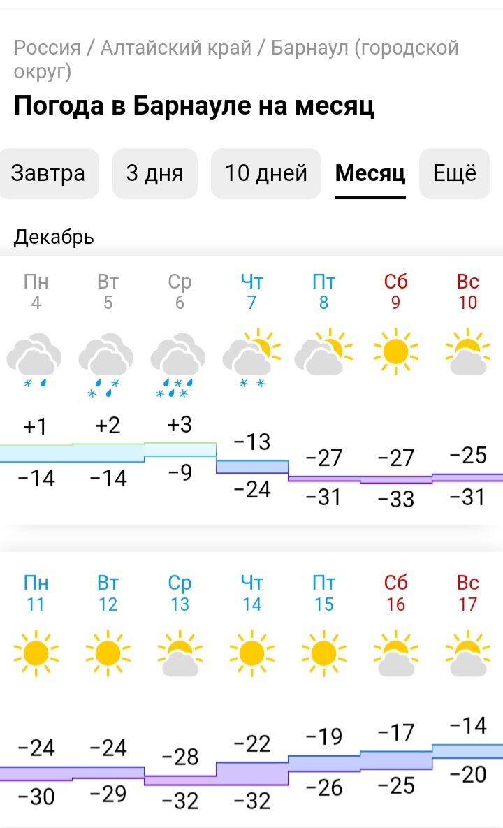 Прогноз с сайта Гисметео. Декабрь 2023. Барнаул.