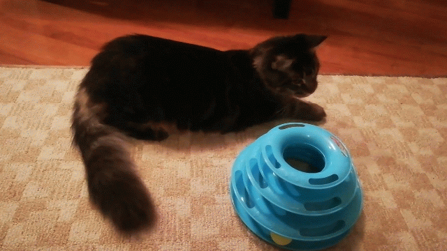 Танцы 👯‍♂️ 