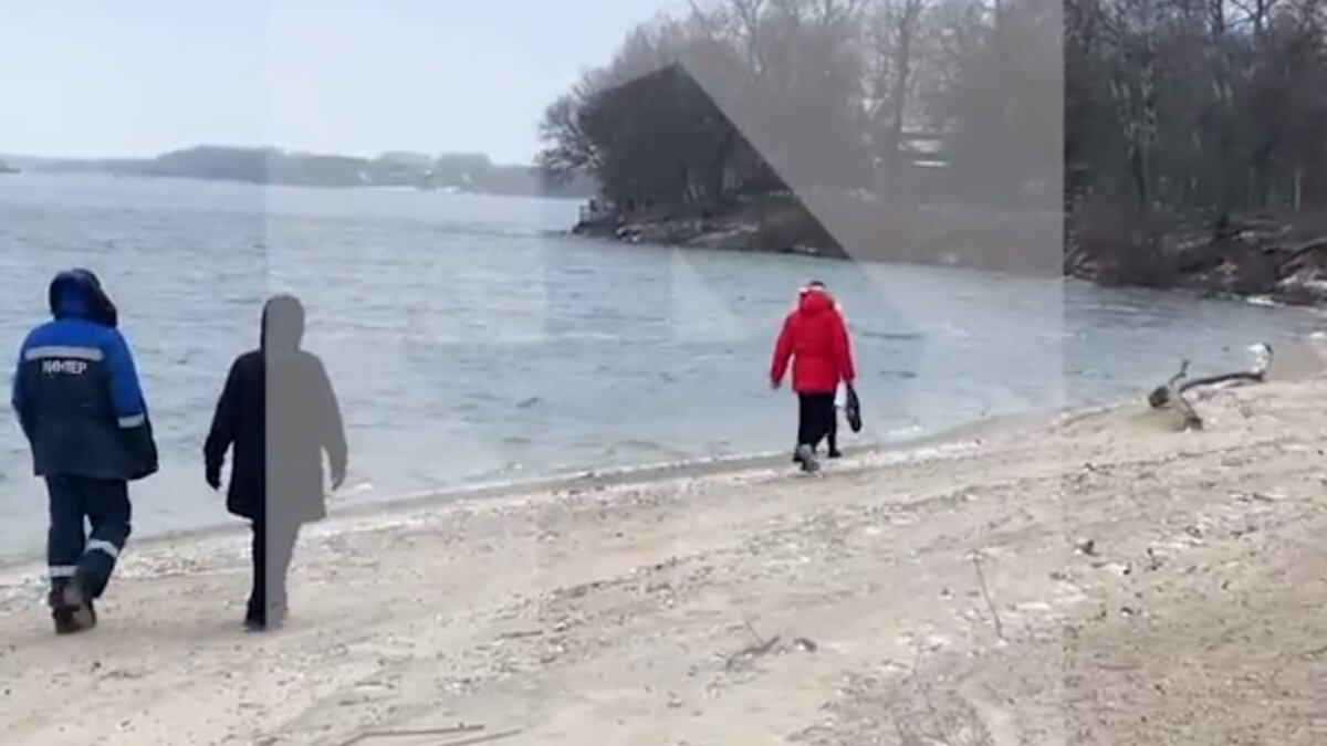 Фото: Скриншот видео