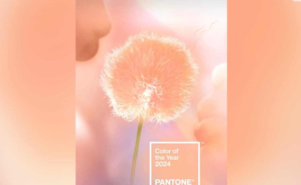 13 1023 персиковый пушок. 13 1023 персиковый пушок. 13 1023 персиковый пушок. 13 1023 персиковый пушок. 13 1023 персиковый пушок.