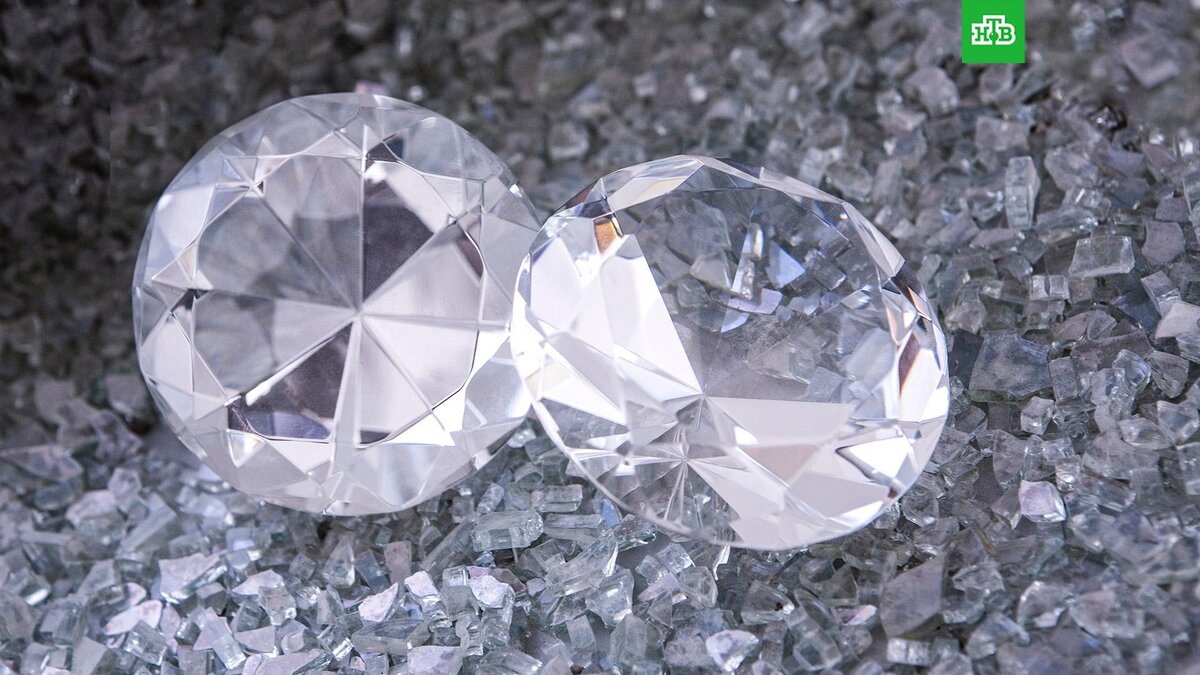    Фото: Bas van den Eijkhof / unsplash.com