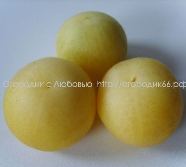  Wapsipinicon peach