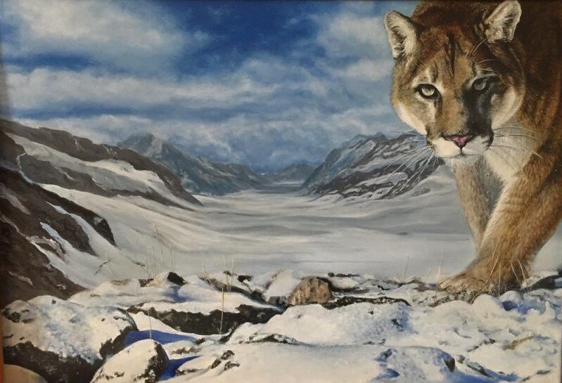 Пума в горах Швейцарии. 2022г. Холст. Масло.