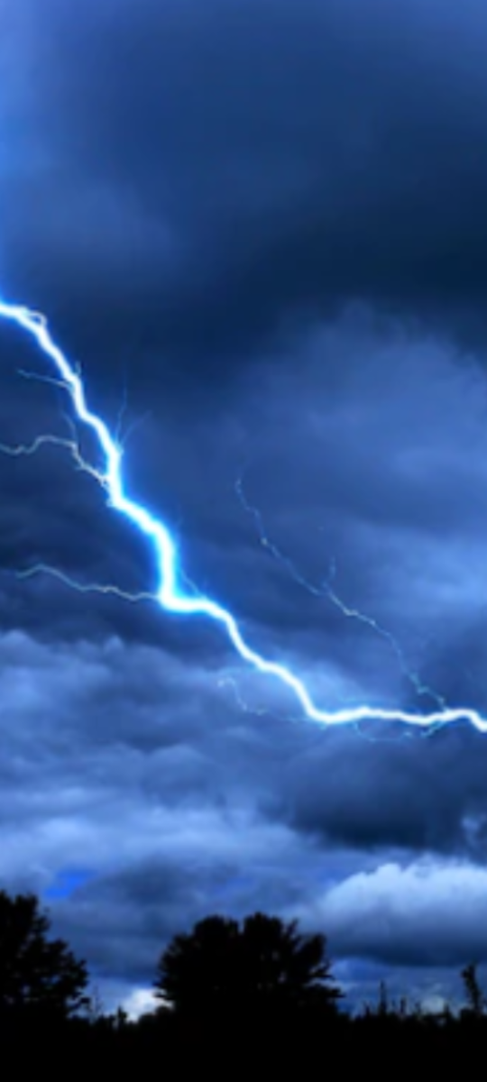 Фото из открытого источника. 