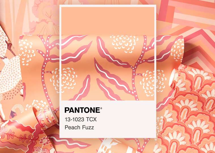 Персиковый pantone 13 1023 peach fuzz. Персиковый pantone 13 1023 peach fuzz