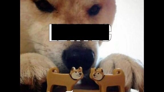 Это такой мем.