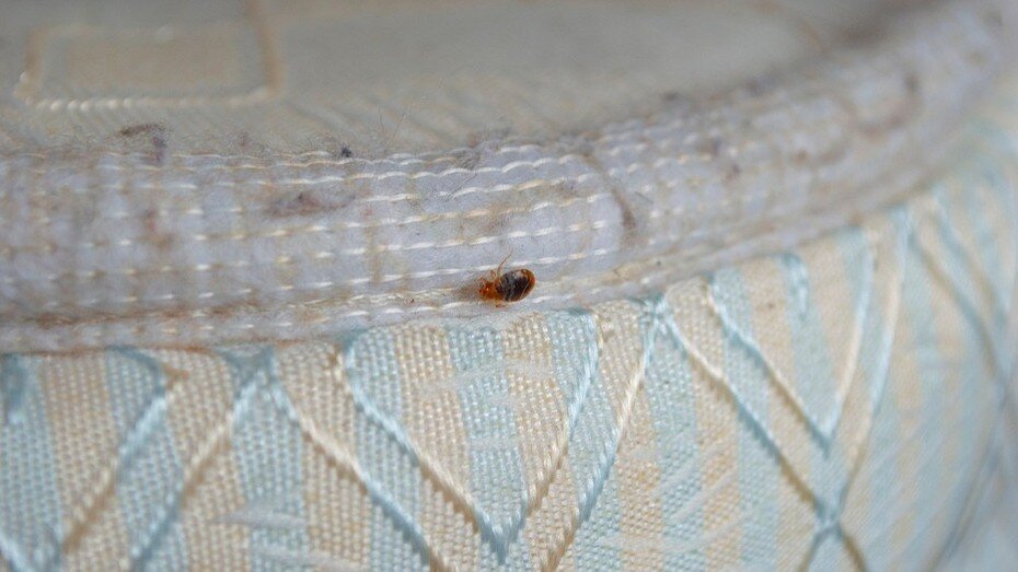 ShutterStock/Fotodom.ru