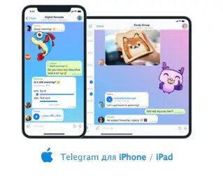 Настройка прокси в настройках приложения