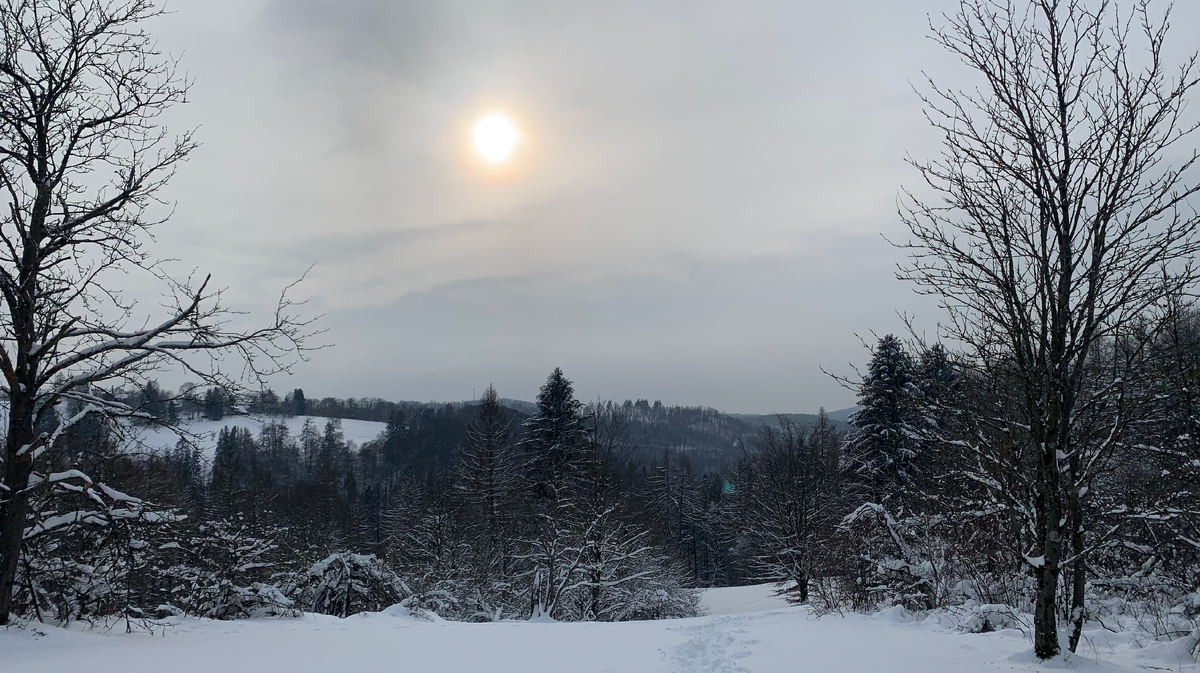 фото из личного архива