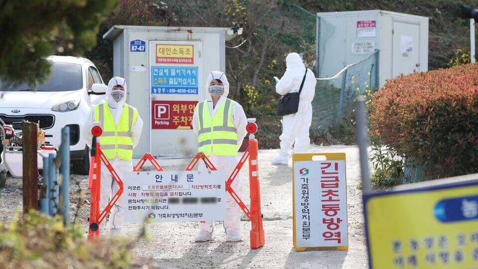 Фото: © ТАСС/EPA/YONHAP