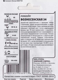 «Вознесенская 34»