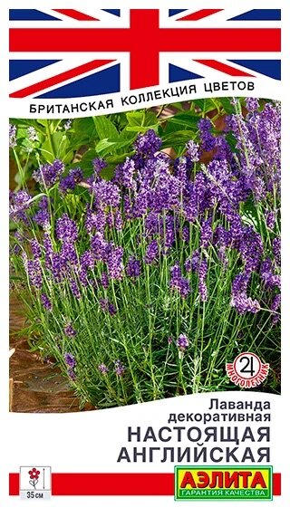 «Настоящая Английская»