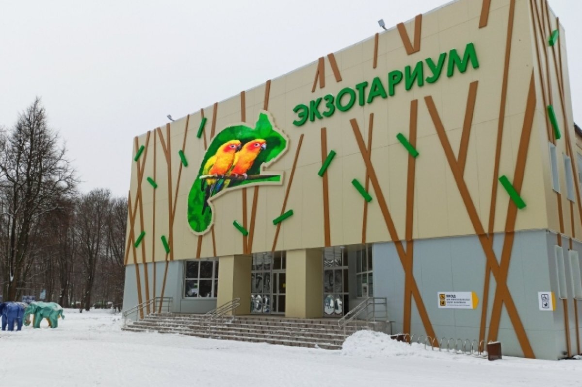    Тульский областной зооэкзотариум утратит статус учреждения культуры