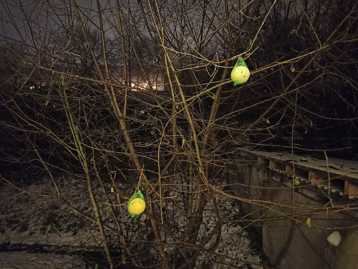 Всё-таки решил поведать ночью, а утром будем выглядывать в окно.