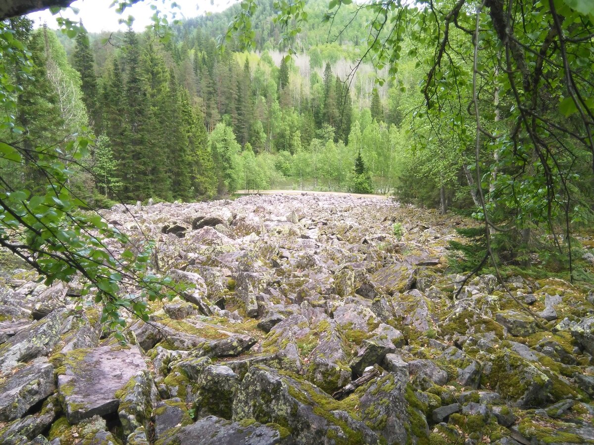 фото из интернета