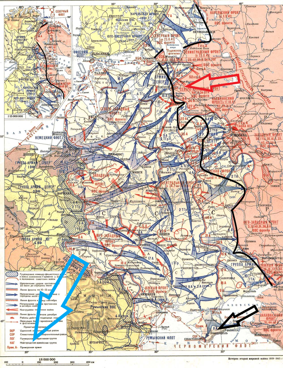 (Фото взято из открытых источников).