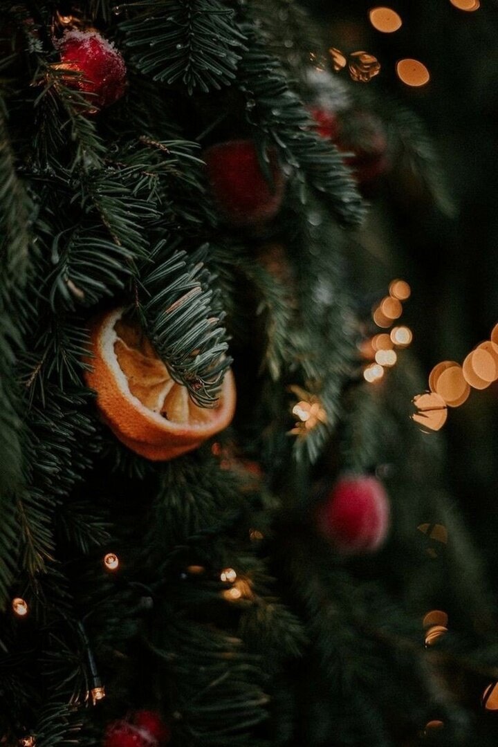 https://sun9-42.userapi.com/impg/DK4g4yKZiGIQOOhDwVaz7TuTEWpyGkAUSMAHag/95L6CaYUGDk.jpg?size=720x1080&quality=95&sign=e48a580ae59c9bf0c2363b52db1b4b85&type=album