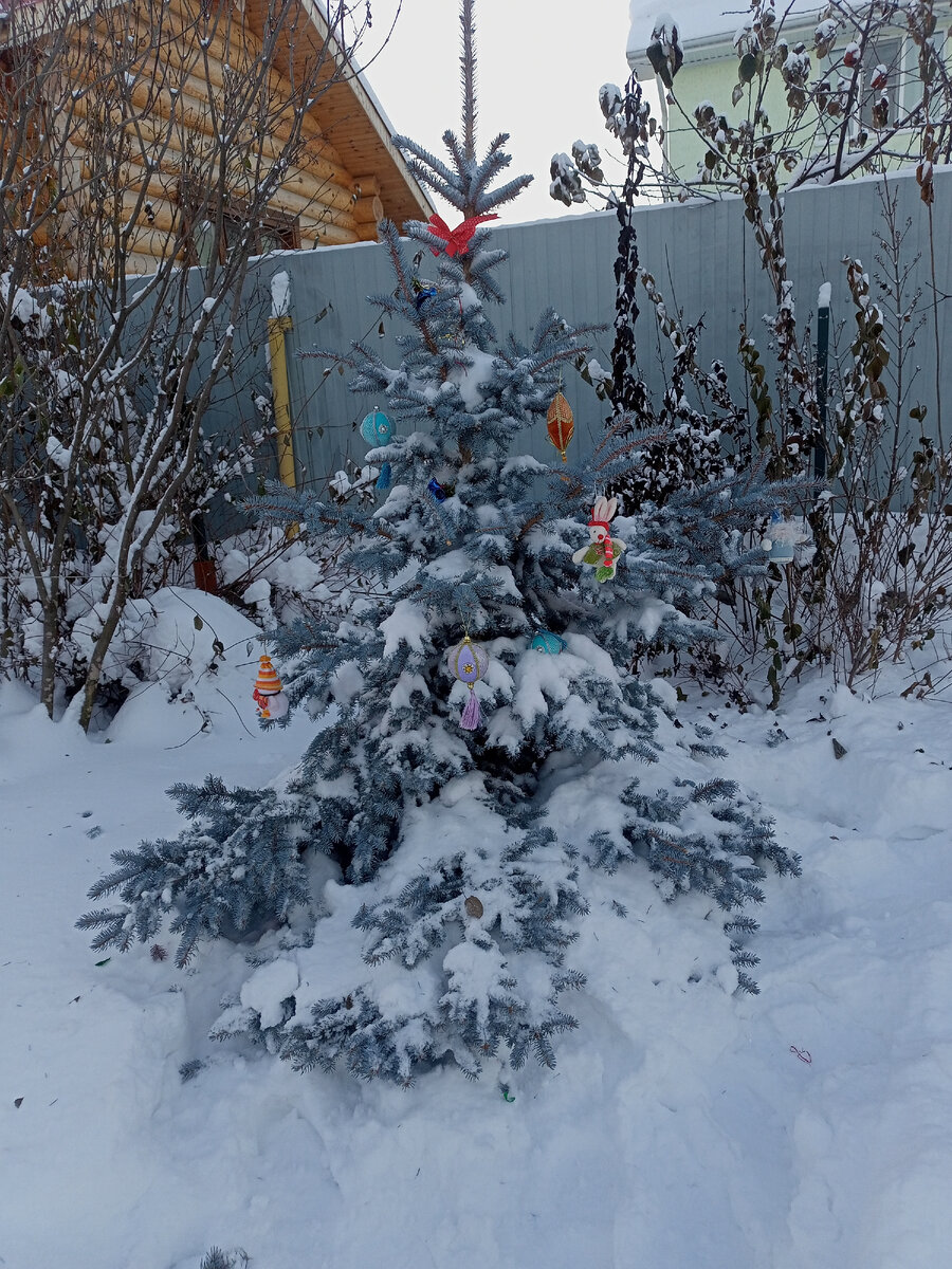 Мороз морозом, а ёлку принарядить надо 