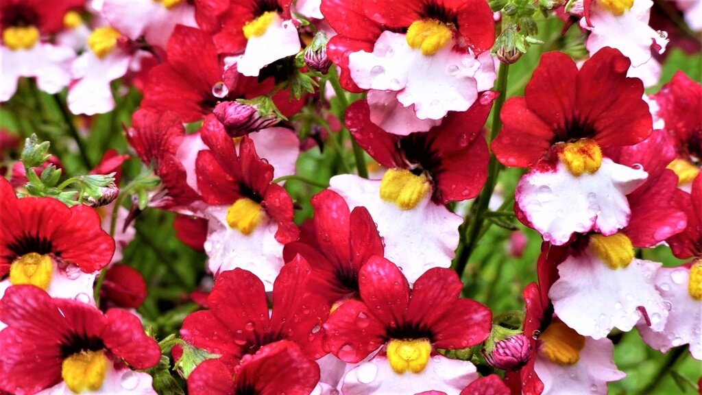 Листайте галерею для просмотра.