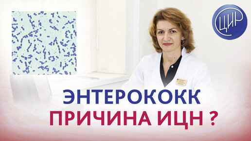 Энтерококк, укорочение шейки матки и 2 потери беременности в 21 и 24 недели. Дементьева С.Н.