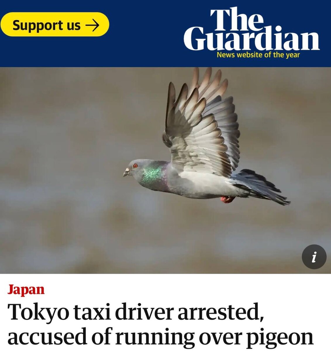 The Guardian пишет об этом